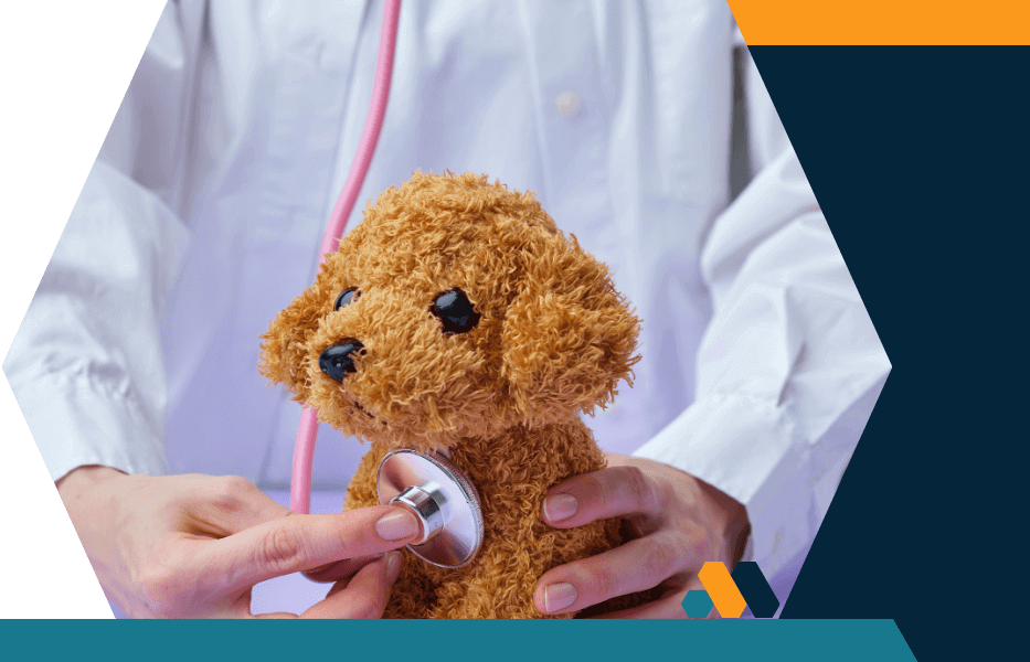 A person holds a teddy bear with a stethoscope