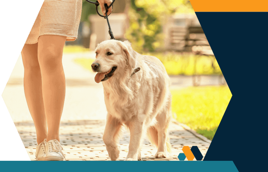 A woman is seen walking her dog