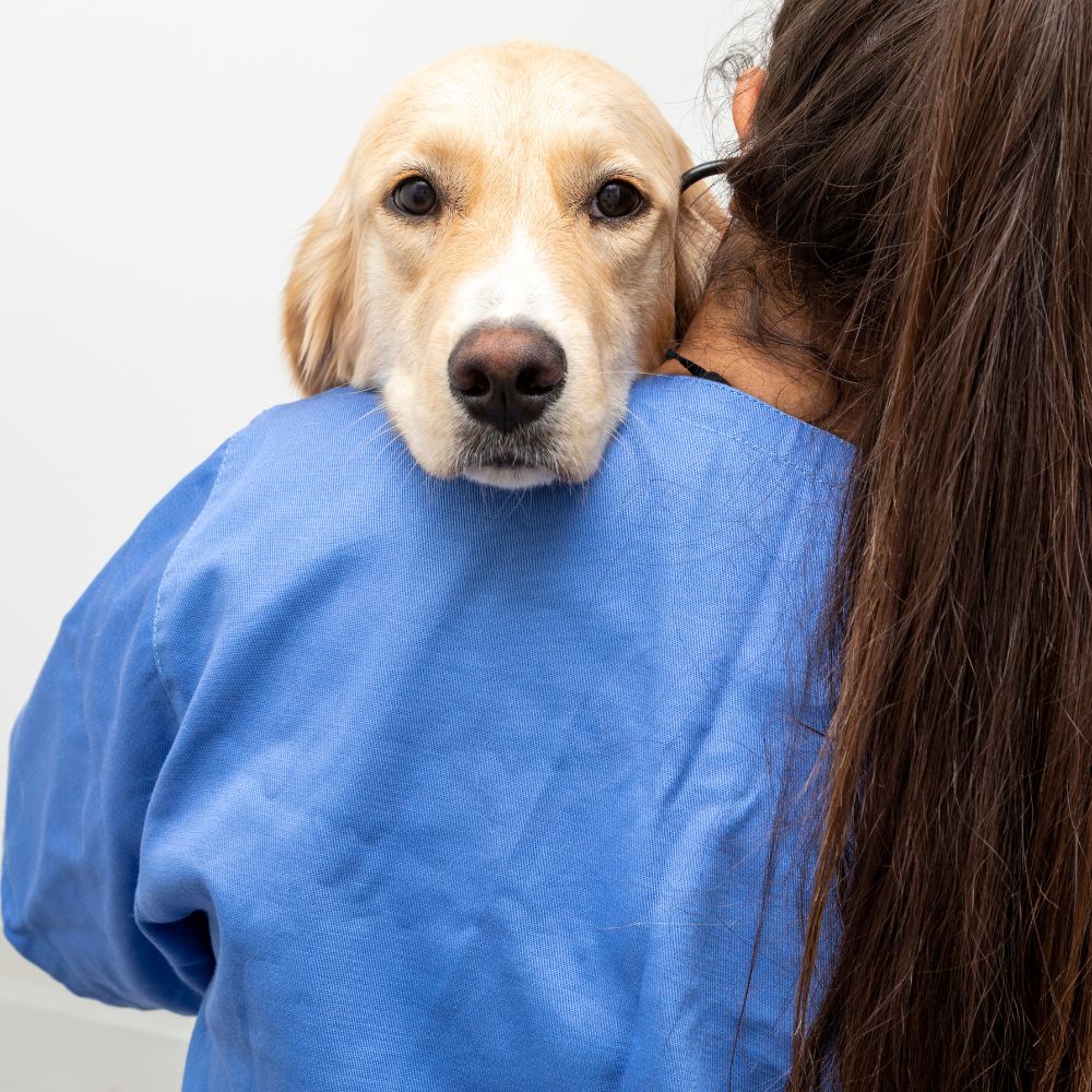 A woman gently holds a small dog in her arms